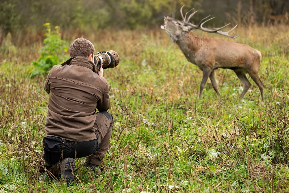 wild-life-photography-1
